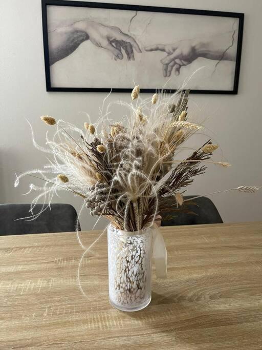 Le Nid Familial - Tours Centre Gare Apartment Luaran gambar